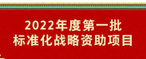 2022年度第一批标准化战略资助项目