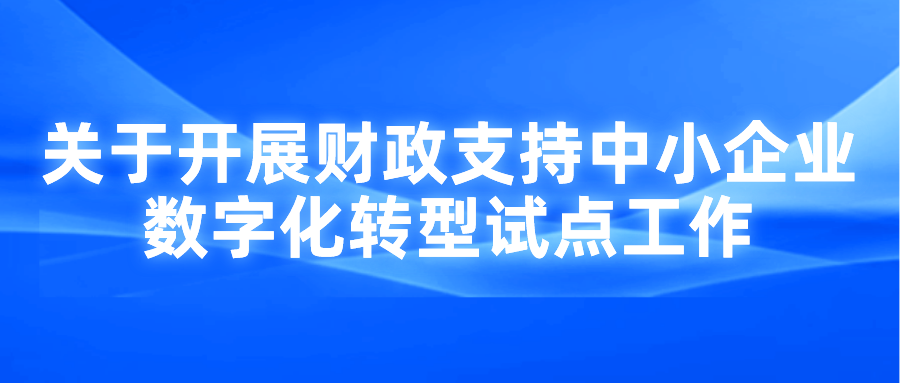 关于开展财政支持中小企业省级数字化转型试点工作申报通知