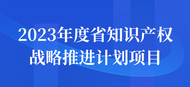 2023年度省知识产权战略推进计划项目