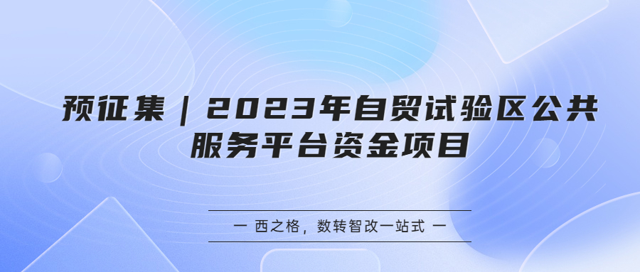 预征集｜2023年自贸试验区公共服务平台资金项目