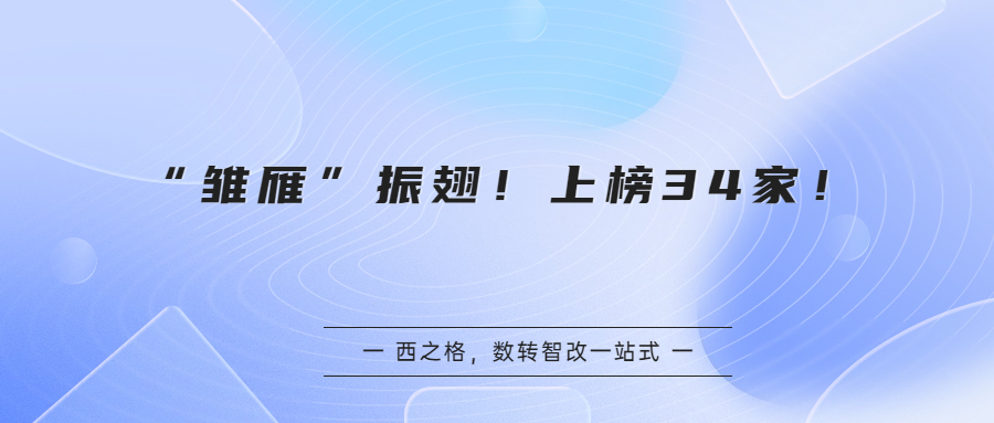 “雏雁”振翅！上榜34家！