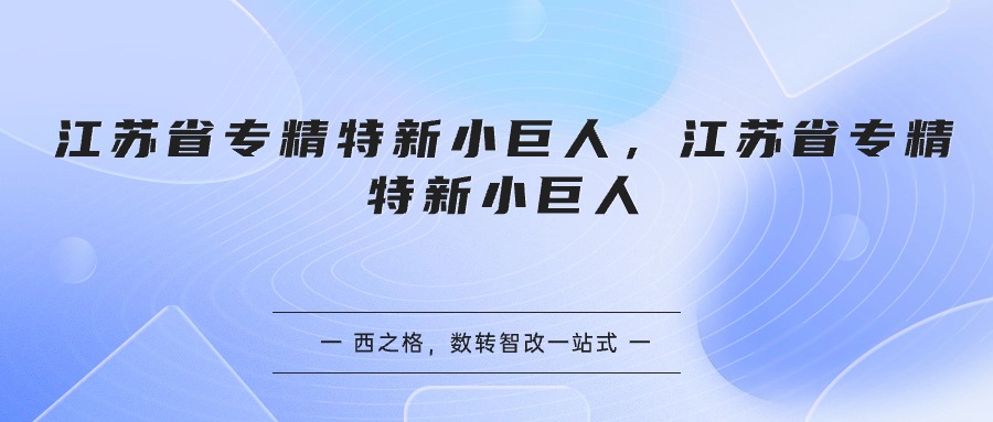 江苏省专精特新小巨人