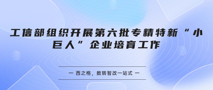 关于开展第六批专精特新“小巨人”企业培育和第三批专精特新“小巨人”企业复核工作的通知