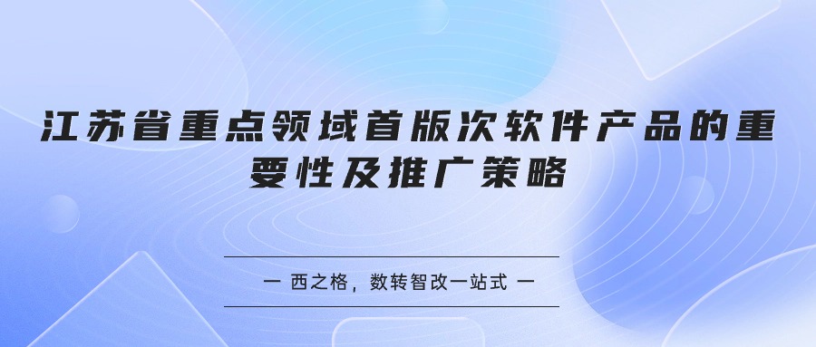 江苏省重点领域首版次软件产品的重要性及推广策略