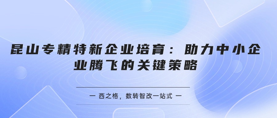  昆山专精特新企业培育：助力中小企业腾飞的关键策略