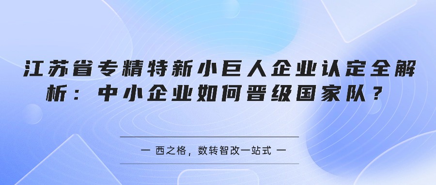 江苏省专精特新小巨人企业认定全解析：中小企业如何晋级国家队？