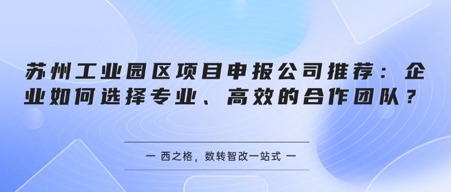 苏州工业园区项目申报公司推荐：企业如何选择专业、高效的合作团队？